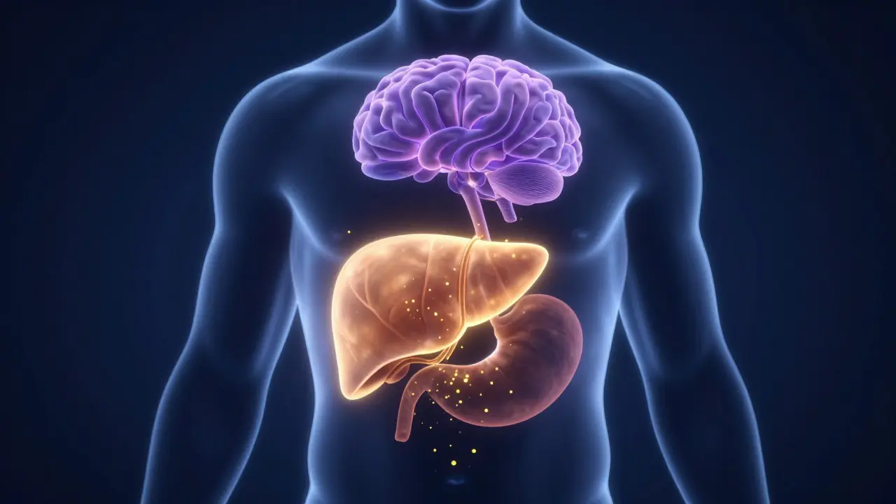 Abstraktní vizualizace metabolismu THC v játrech