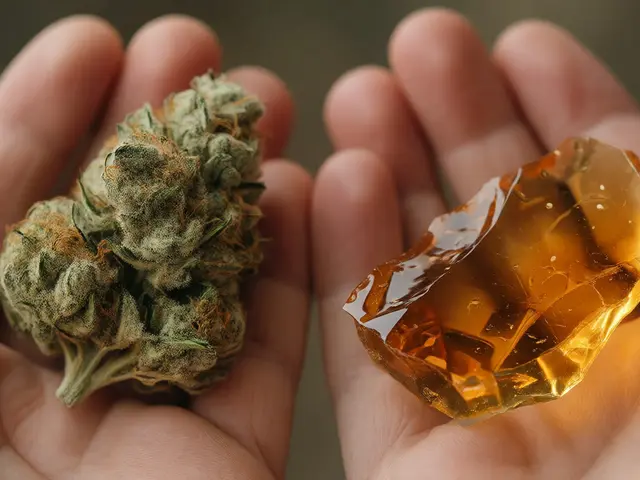 CBD Shatter vs. Květ: Která forma konopí je silnější?